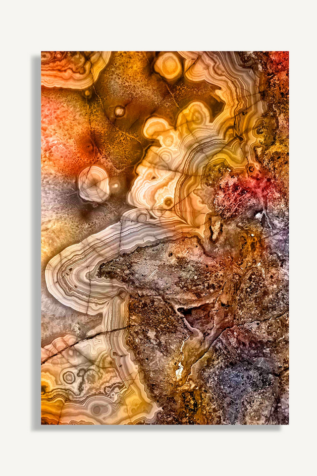 Amber Art Print | Vical Home Armagh | Oroa.com