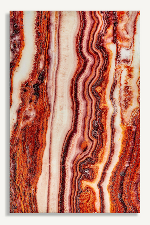 Coral Paper Art Print M | Vical Home Astanxatina | Oroa.com