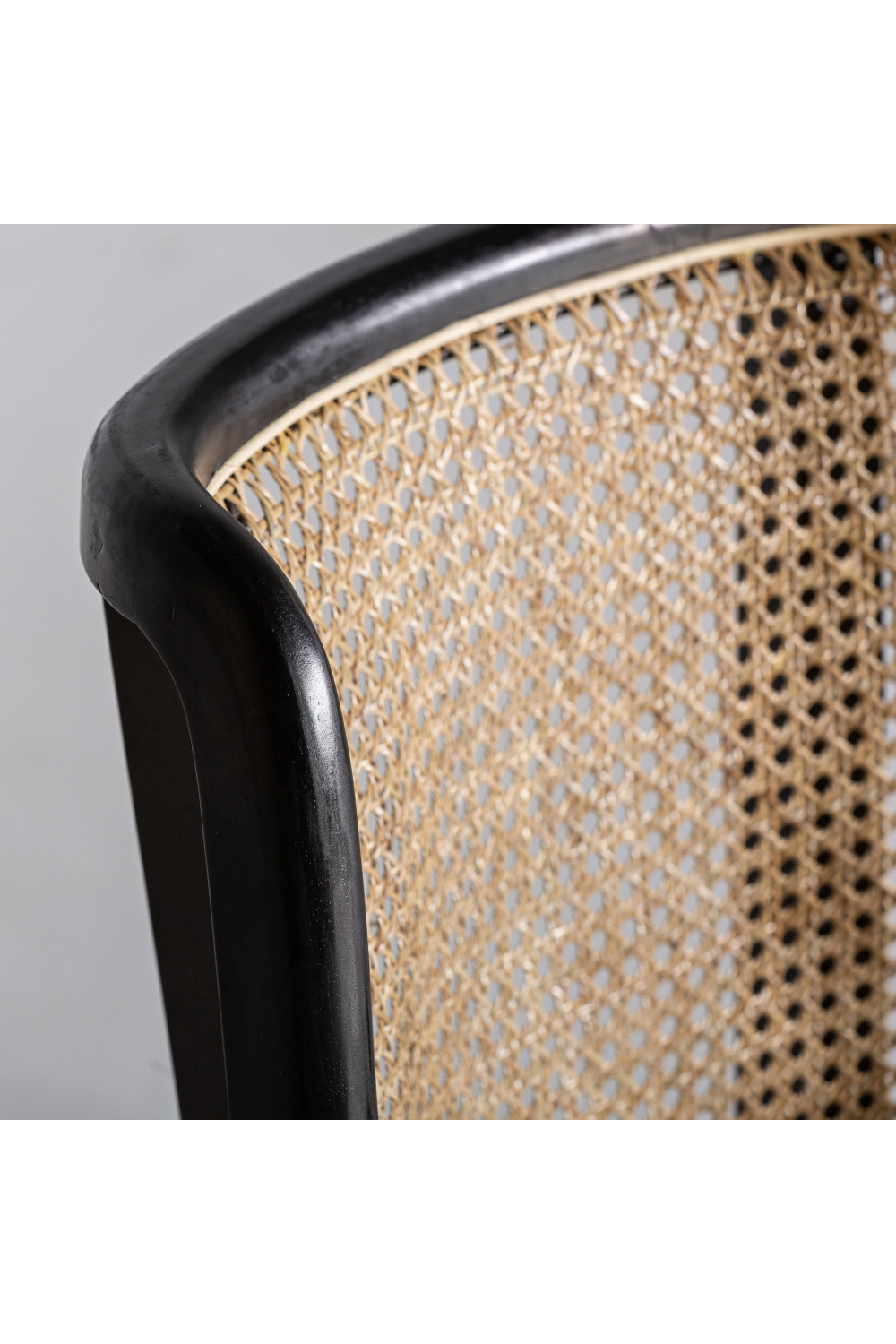 Velvet Seat Rattan Accent Chair | Vical Home Velburg | Oroa.com