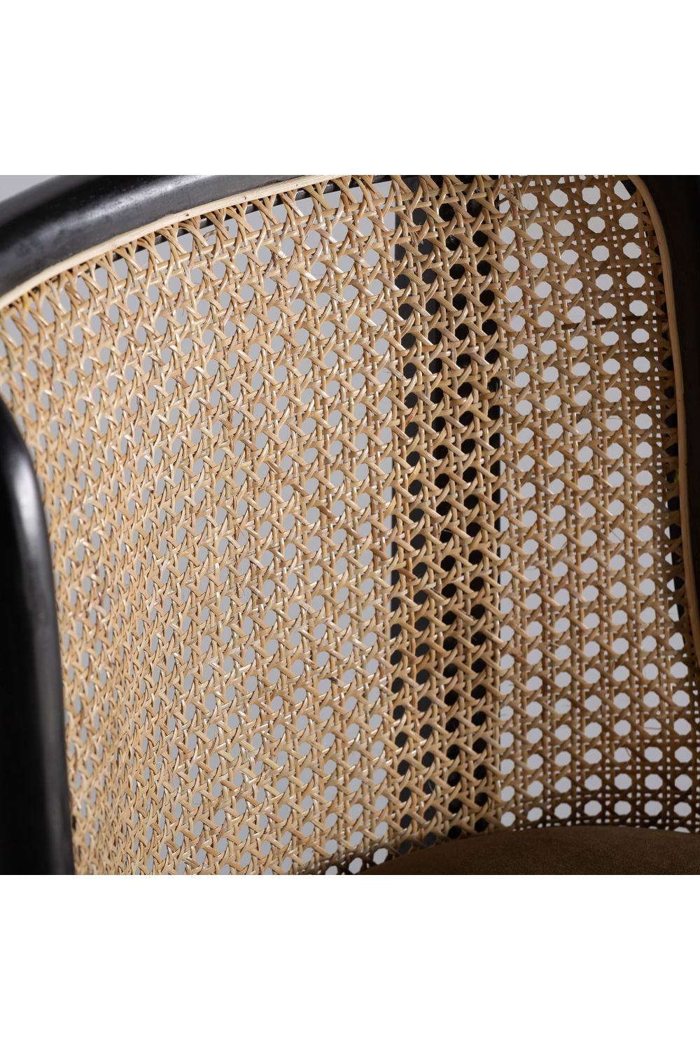 Velvet Seat Rattan Accent Chair | Vical Home Velburg | Oroa.com