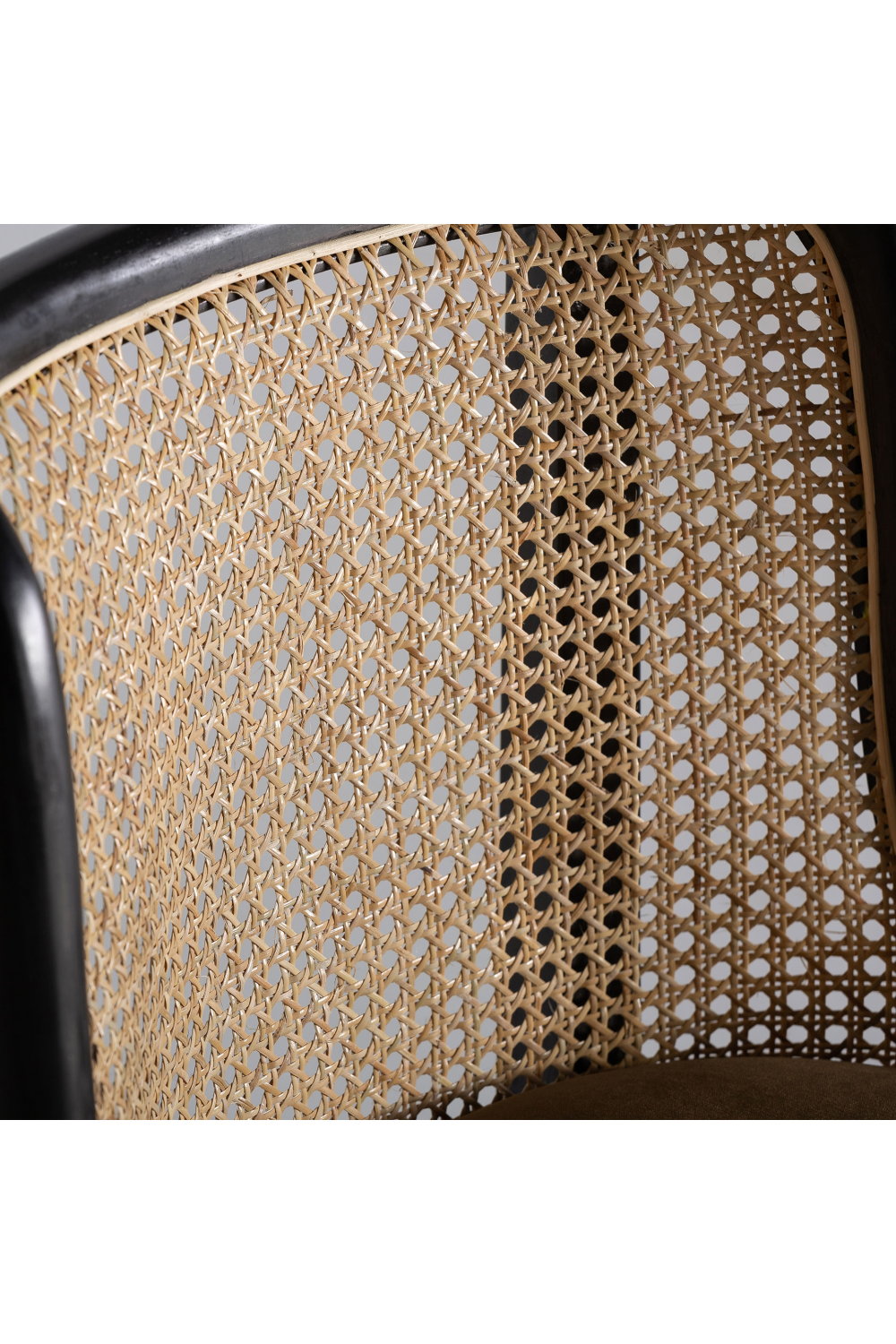 Velvet Seat Rattan Dining Chair | Vical Home Velburg | Oroa.com