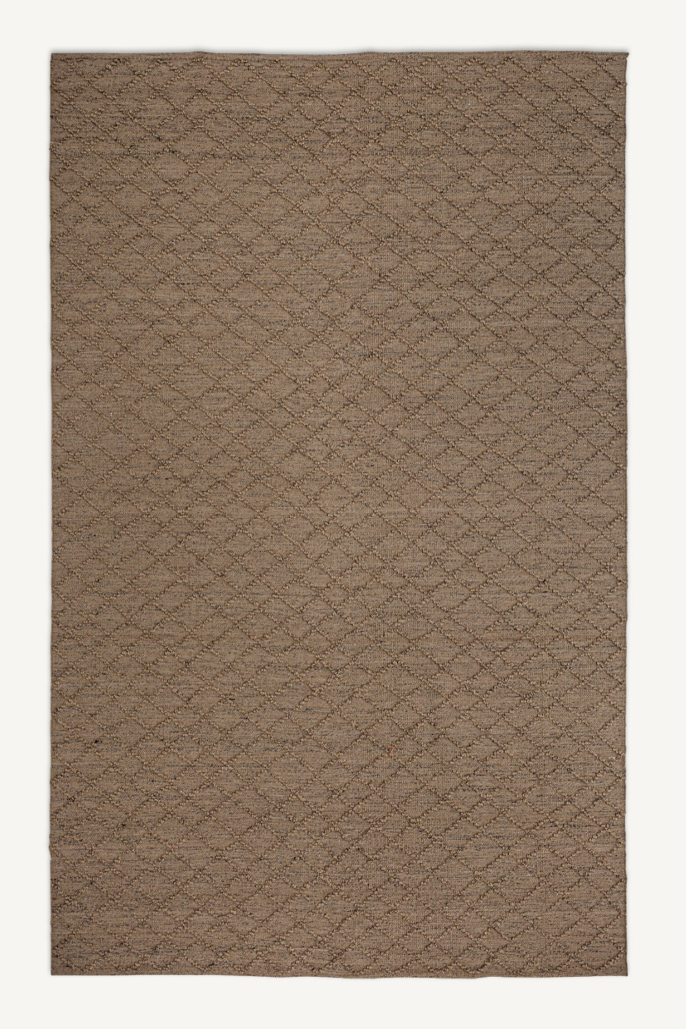 Brown Outdoor Area Rug 11' x 8' | Vical Home Sasha | Oroa.com