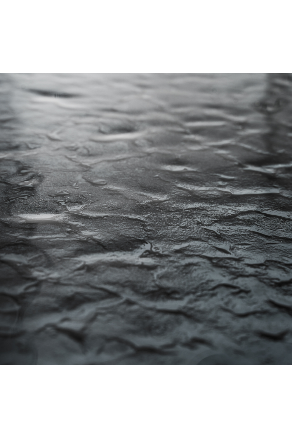 Black Ash Wood Dining Table | Vical Home Suchdol | Oroa.com