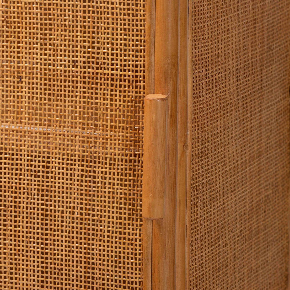 Modern European furniture - Arched Rattan Accent Cabinet - www.oroa.com