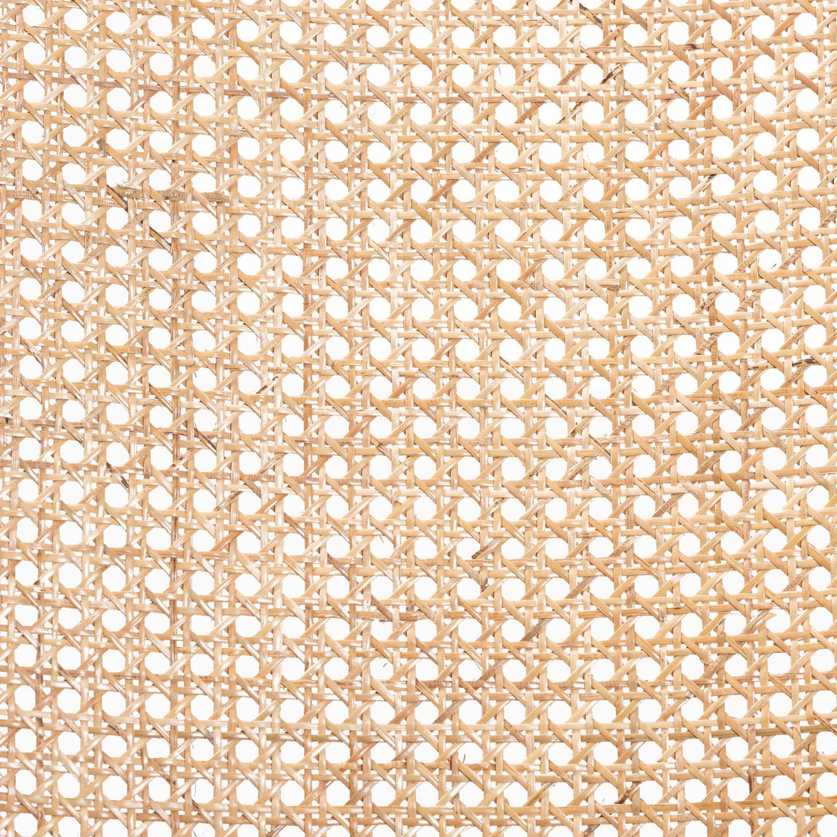 Modern European furniture - Black Mahogany Accent Chair - www.oroa.com