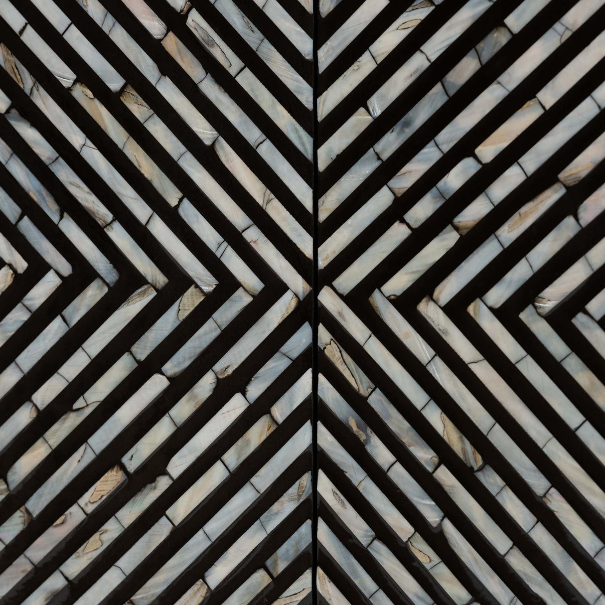 Modern European furniture - Black Gray 2 Door Cabinet - www.oroa.com