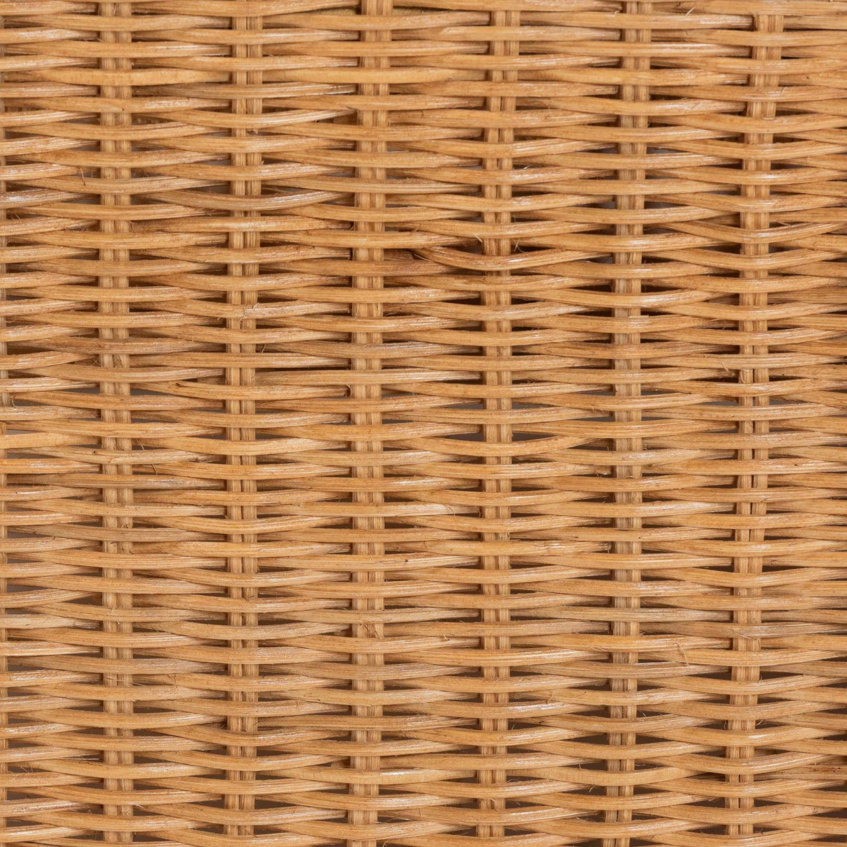 Modern European furniture - U Shaped Rattan Lounge Armchair - www.oroa.com