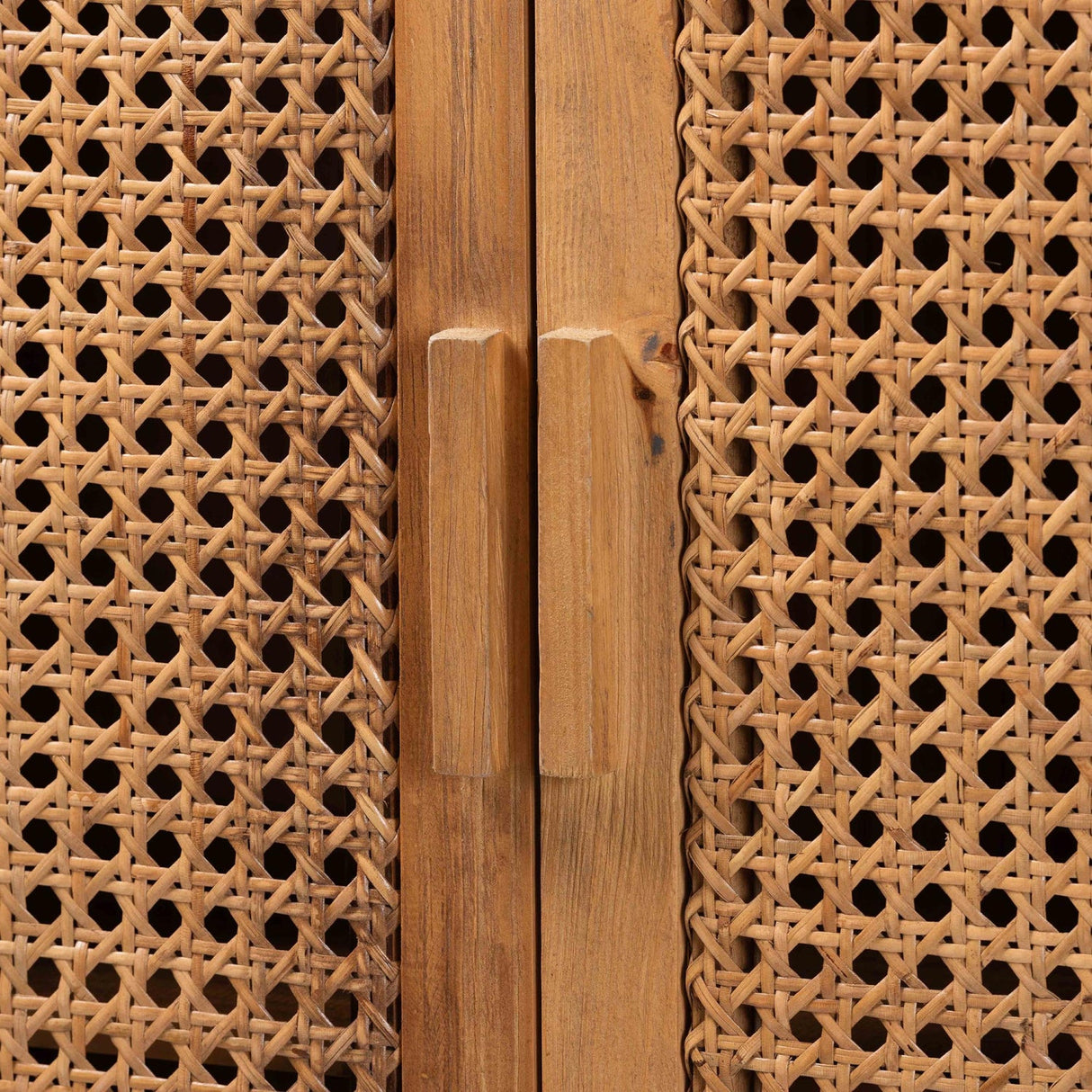 Modern European furniture - Teak Framed Rattan Cabinet - www.oroa.com