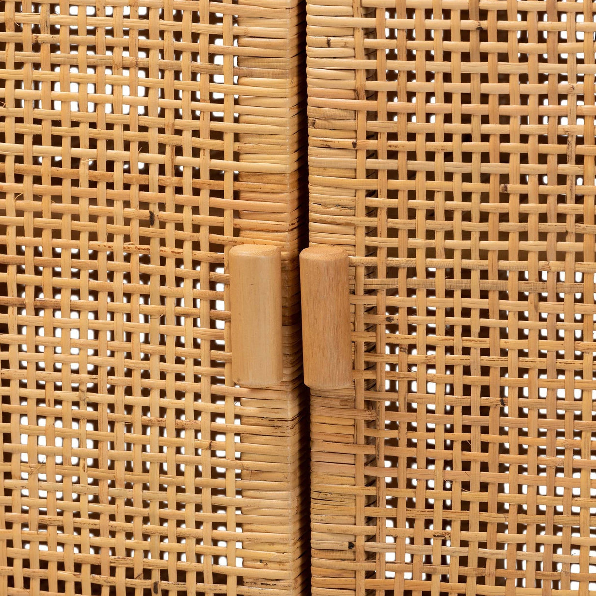 Modern European furniture - Mahogany Framed Rattan Cabinet - www.oroa.com