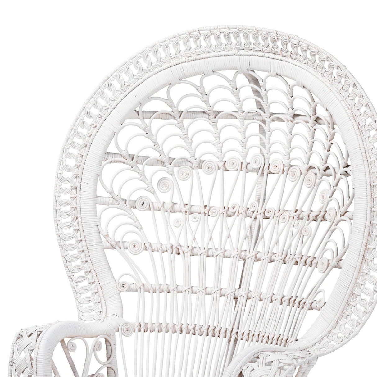 Modern European furniture - White Rattan Peacock Chair - www.oroa.com