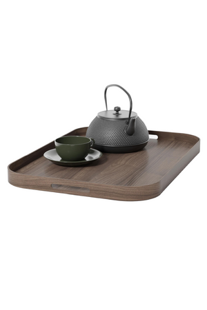 Matte Lacquered Rectangular Tray L | Wireworks Bellhop | Oroa.com