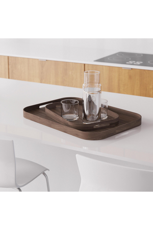 Matte Lacquered Rectangular Tray L | Wireworks Bellhop | Oroa.com