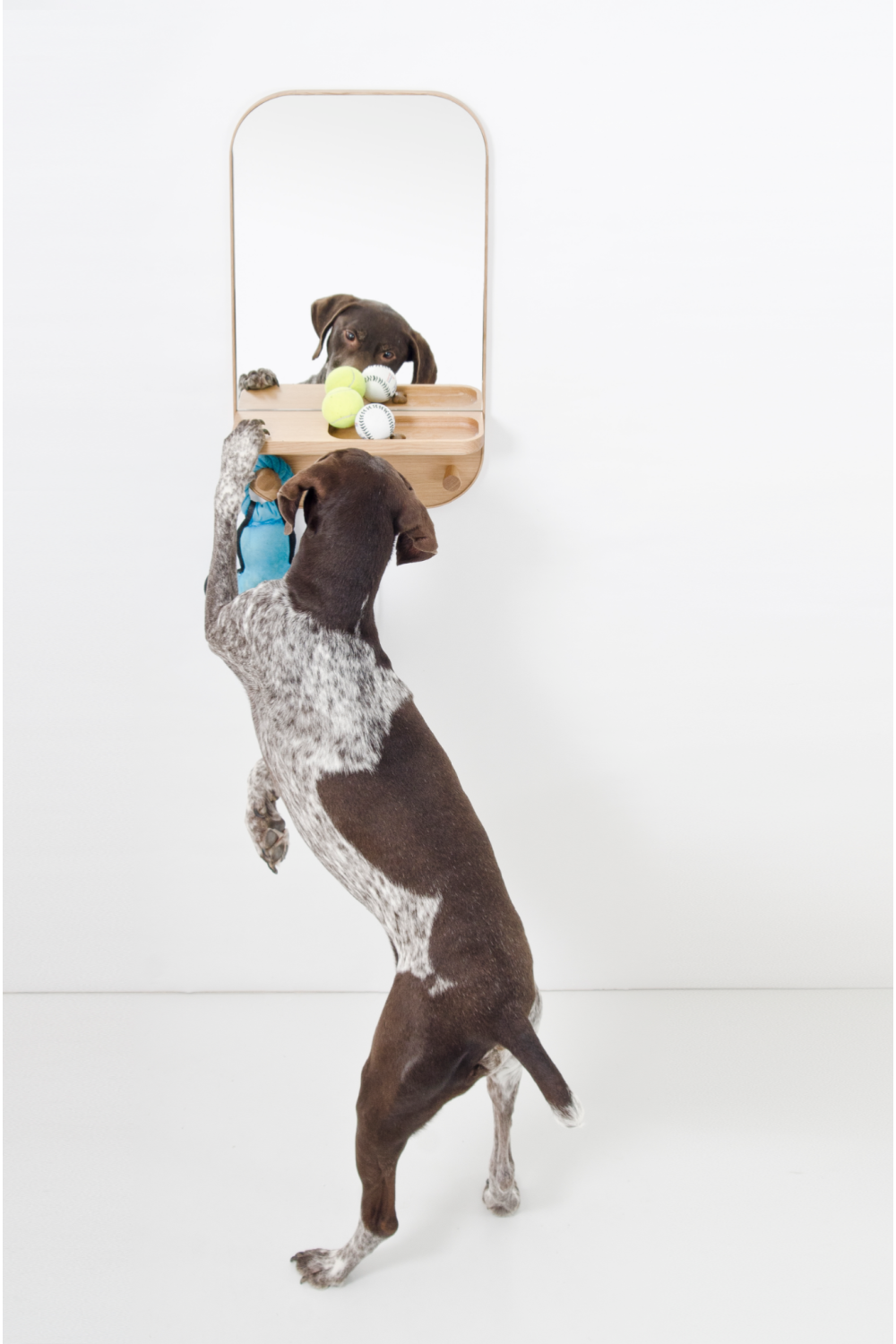 Oak Wooden Wall Storage Mirror | Wireworks Silent | Oroa.com