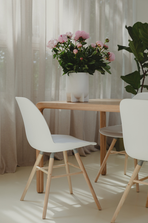 Shell Dining Chairs (2) | Zuiver Albert Kuip | Oroa.com