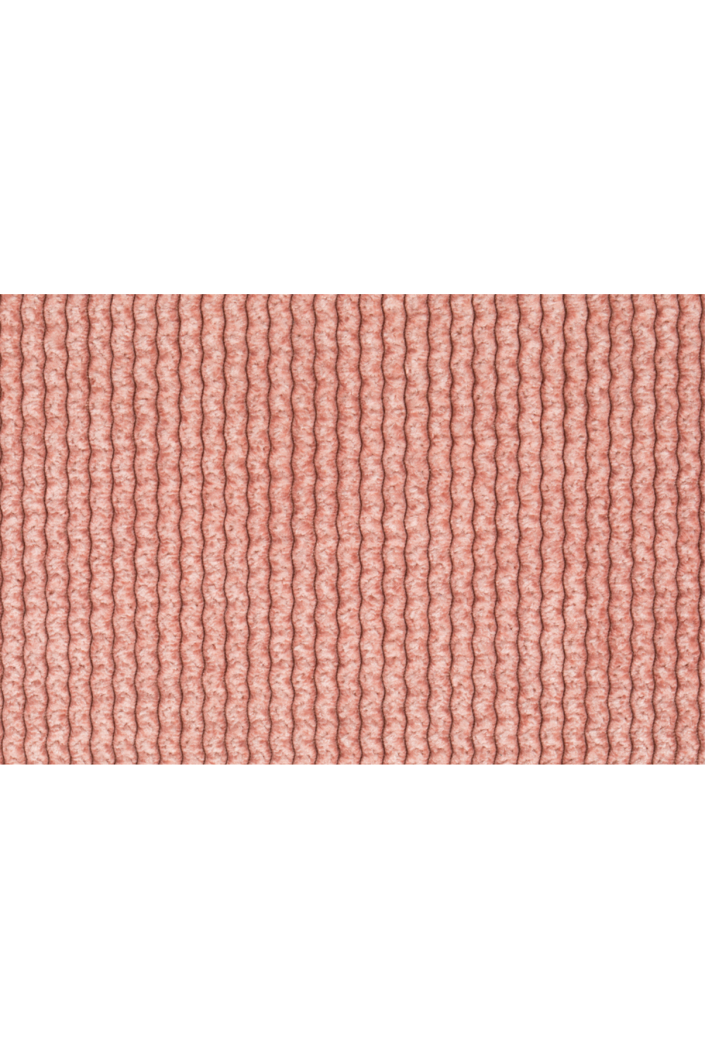 Padded Dining Chairs (2) | Zuiver Benson | Oroa.com