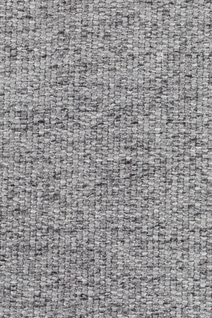 Padded Shell Dining Chairs (2) | Zuiver Albert Kuip | Oroa.com