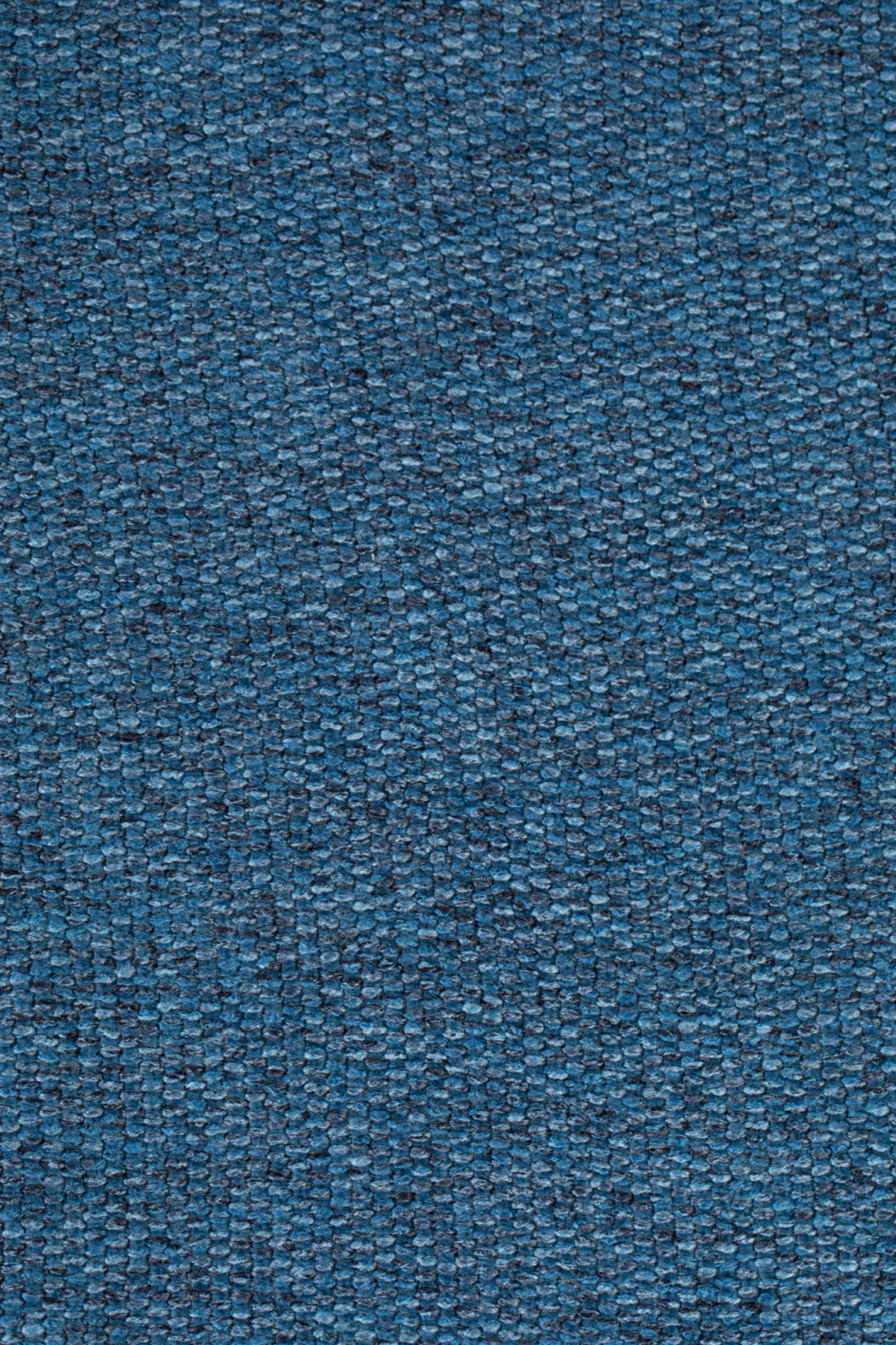 Padded Shell Dining Chairs (2) | Zuiver Albert Kuip | Oroa.com