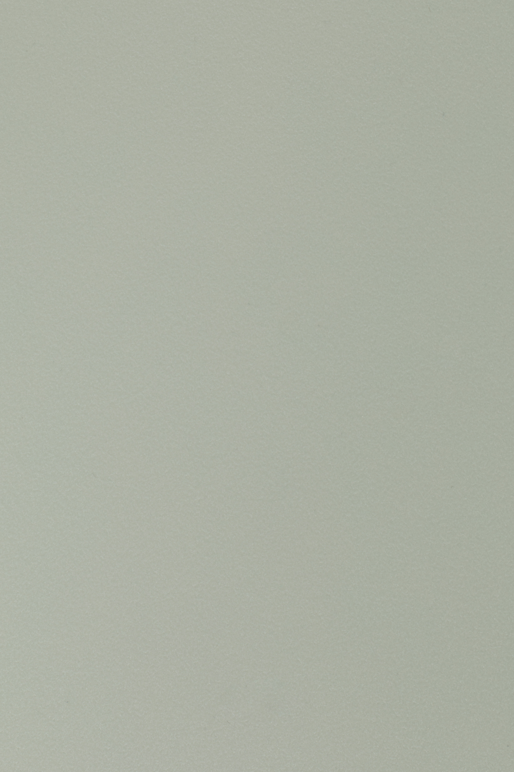 Modern Molded Dining Chairs (2) | DF Pip | Oroa.com