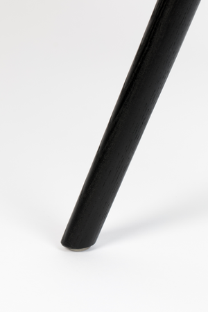 Modern Shell Dining Chairs (2) | Zuiver Albert Kuip | Oroa.com