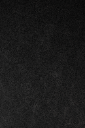 Leather Upholstered Counter Stools (2) | Zuiver Brit | OROA.com