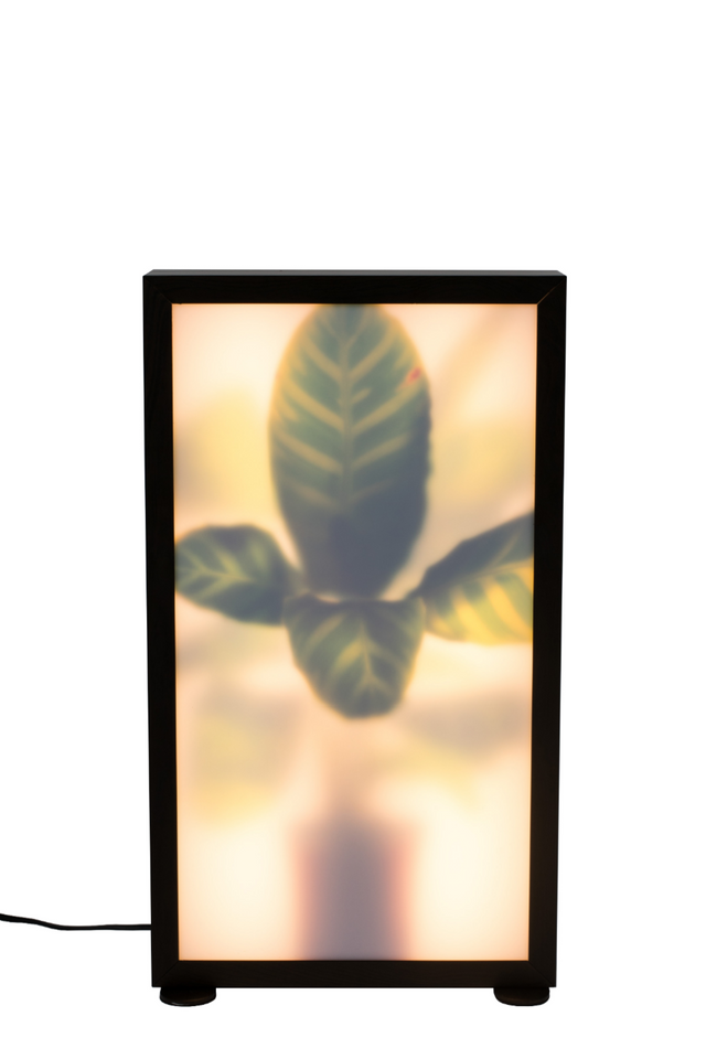 Houseplant Glass Floor Lamp | Zuiver Grow | Oroa.com