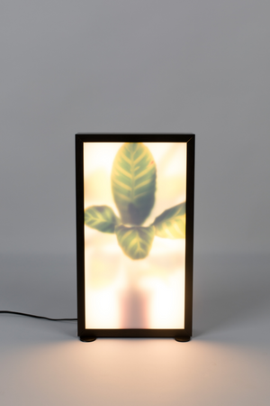 Houseplant Glass Floor Lamp | Zuiver Grow | Oroa.com