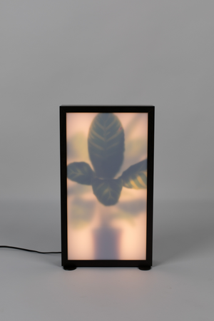 Houseplant Glass Floor Lamp | Zuiver Grow | Oroa.com