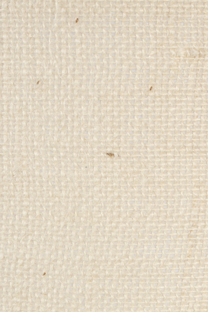 Minimalist Tripod Floor Lamp | Zuiver Fan | OROA.com