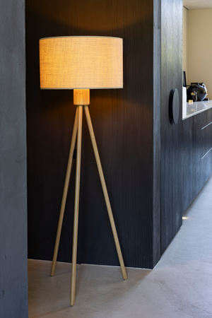 Minimalist Tripod Floor Lamp | Zuiver Fan | OROA.com