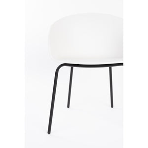   Modern European furniture - Curved Molded Dining Armchairs (2) - www.oroa.com | Oroa.com