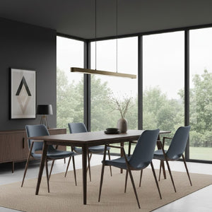 Leather Dining Chairs (2) | OROA Modern Desi | Oroa.com