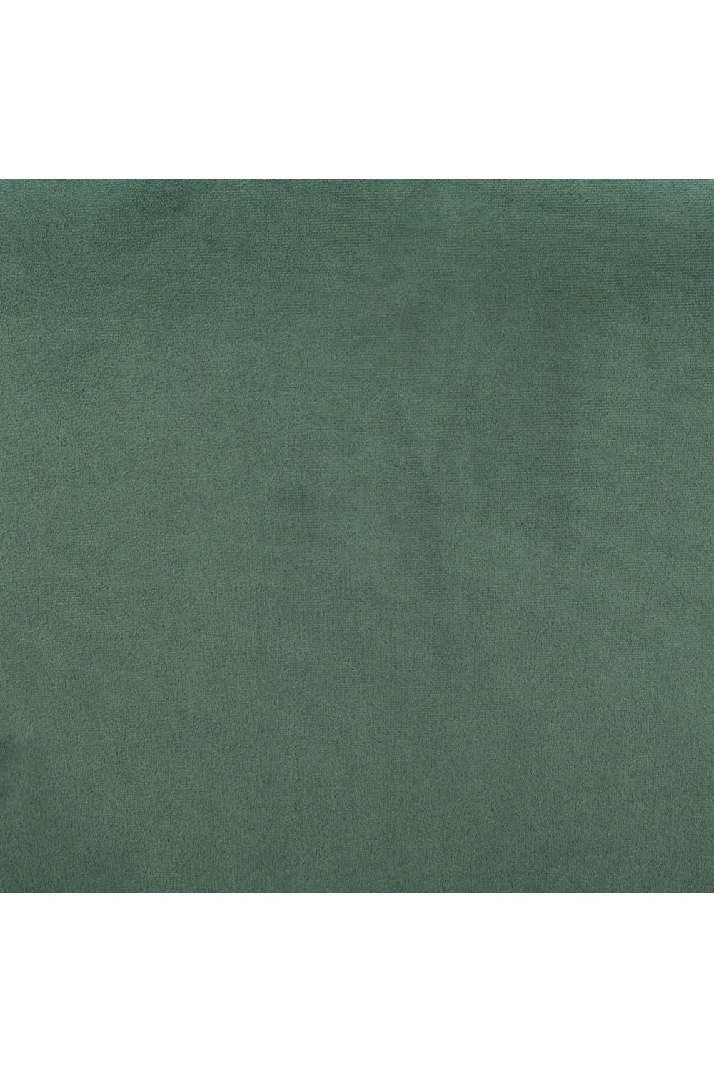 Velvet Dining Chairs (2) | OROA Modern Menlo | Oroa.com