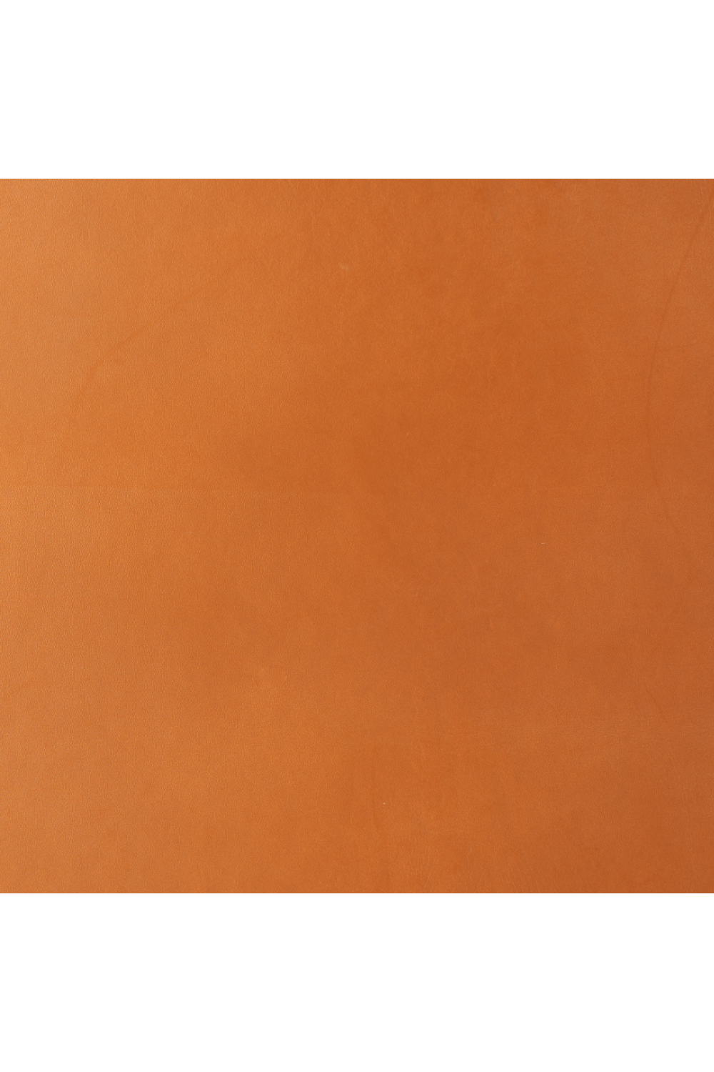 Tan Leather Accent Chair | OROA Modern Doek | Oroa.com