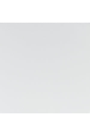   Polished Steel Office Chairs (2) | Oroa.com