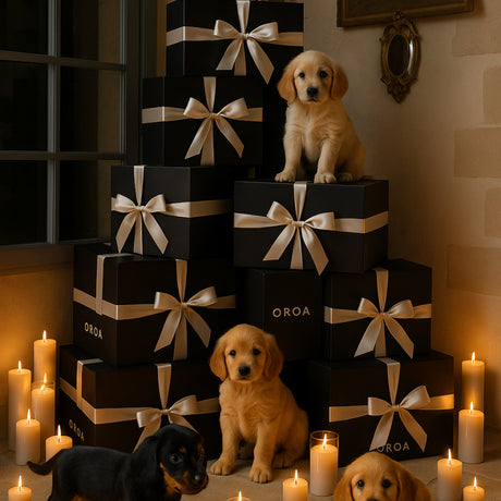 Christmas gifts for him and her - www.oroa.com 