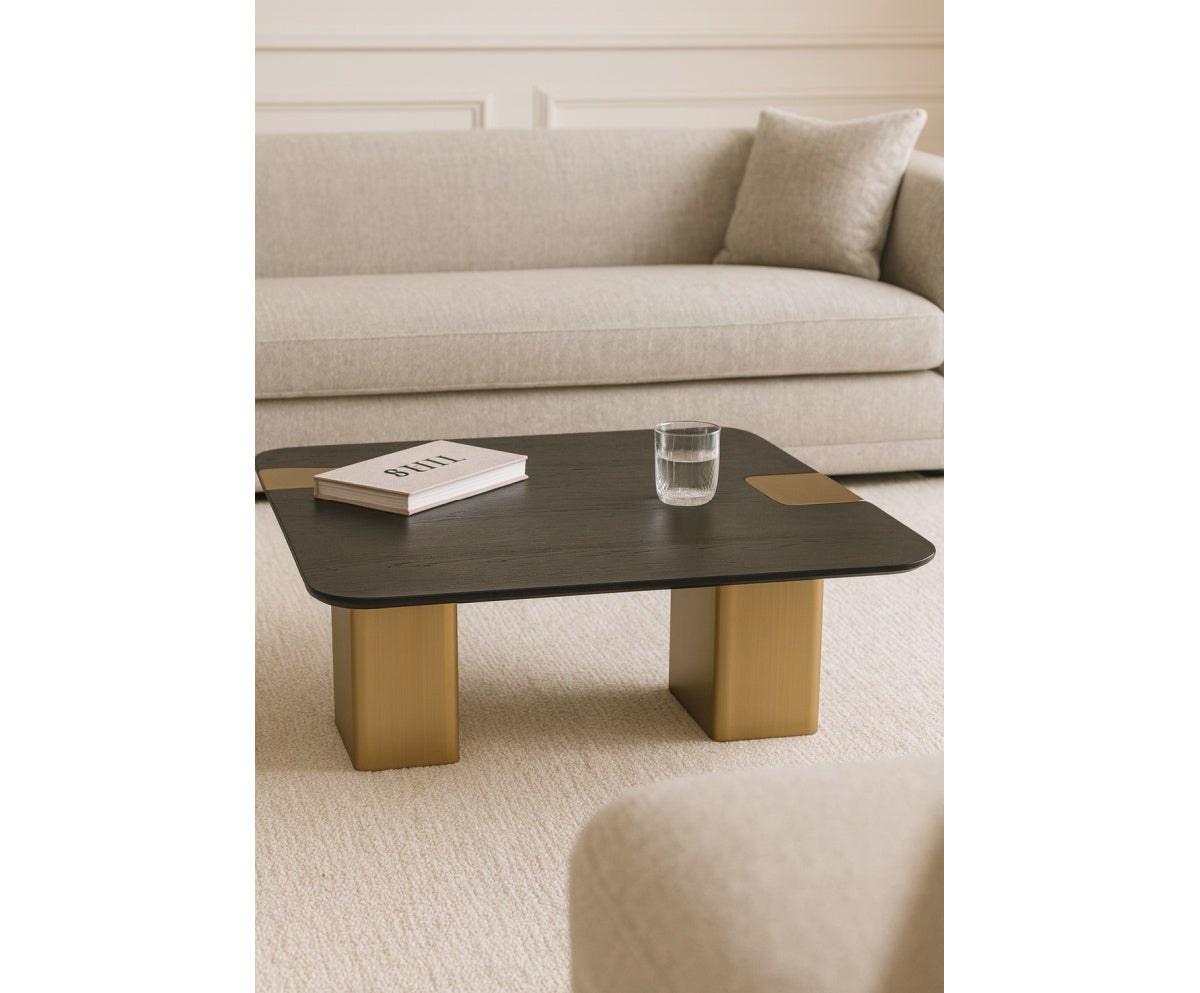 black and brass finish coffee table - www.oroa.com