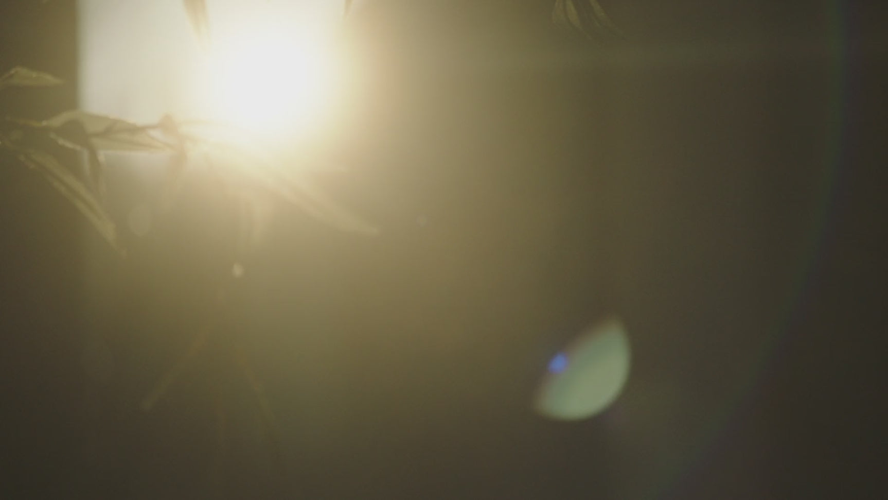 Rectangular Black Oak Dining Table | Ethnicraft Mikado | Oroa.com