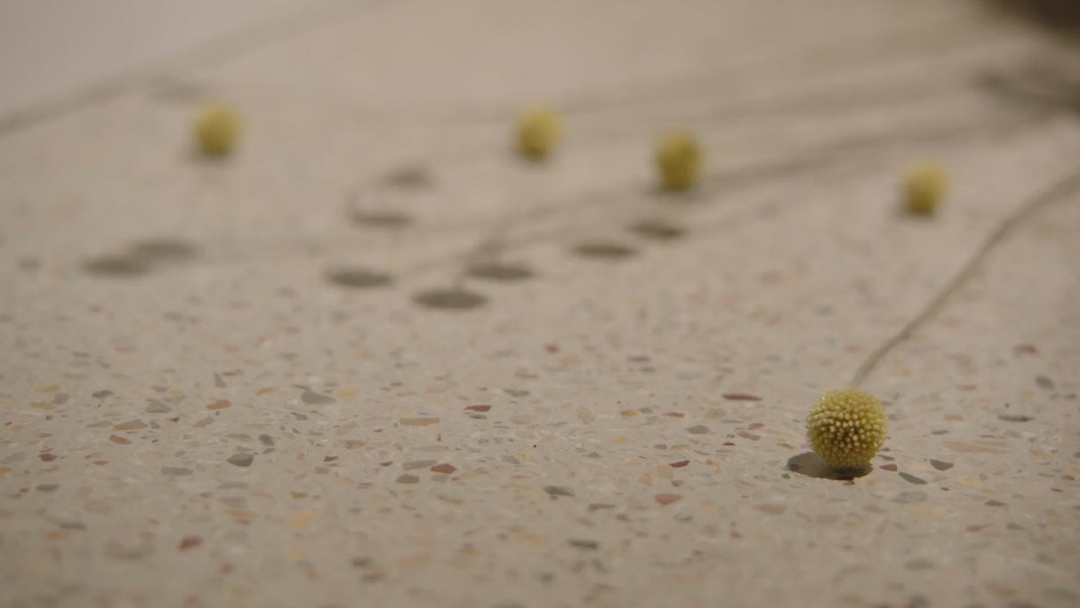 Natural Teak Bench | Ethnicraft Bok | Oroa.com