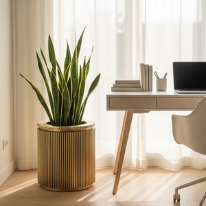   Optimized product image 5 | Oroa.com