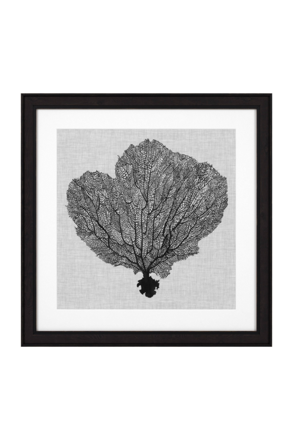 Coral Prints Set | Eichholtz Shadow Sea Fans | OROA