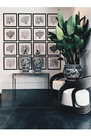 Coral Prints Set | Eichholtz Shadow Sea Fans | OROA