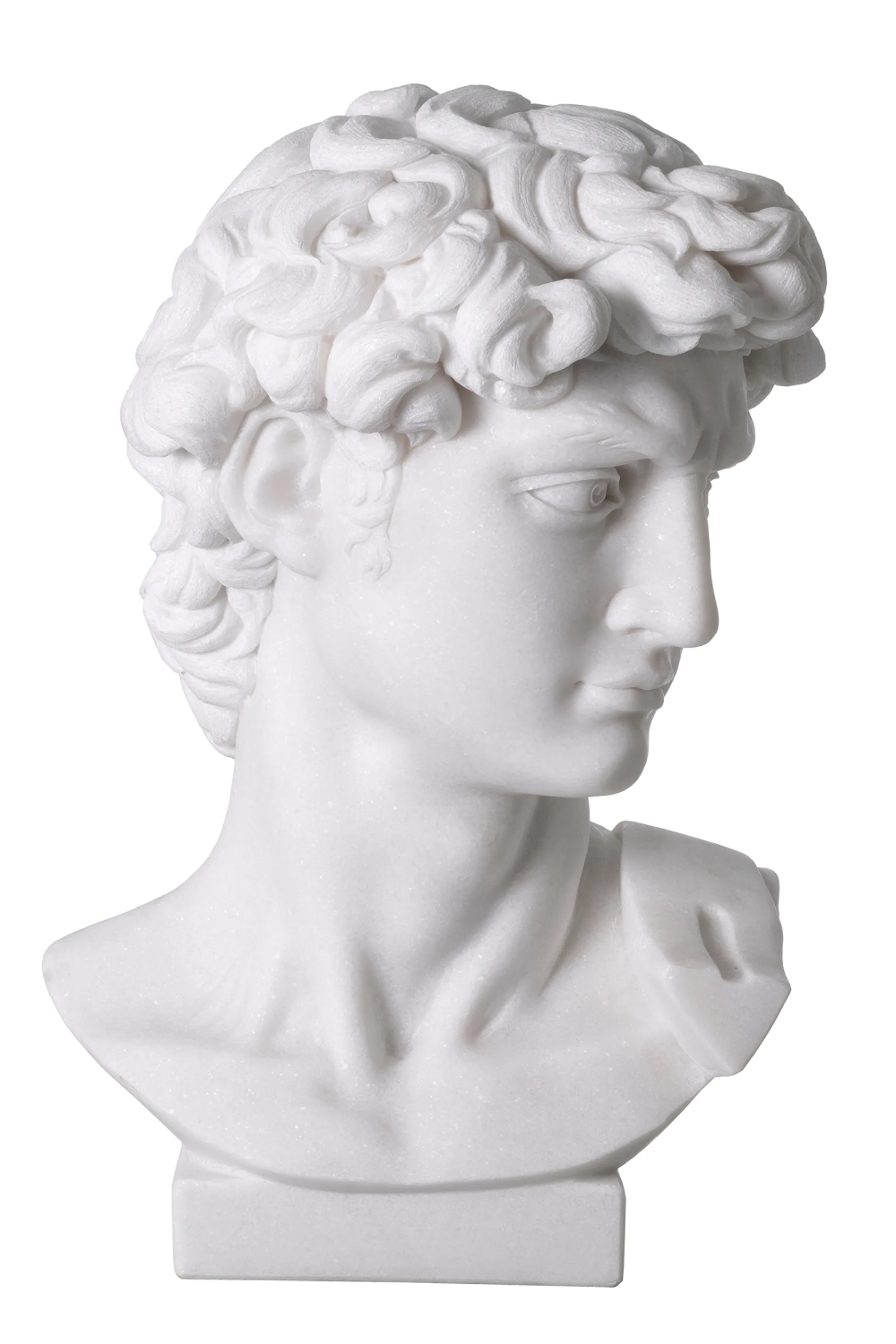 White Marble Head Sculpture | Eichholtz David | Oroa.com