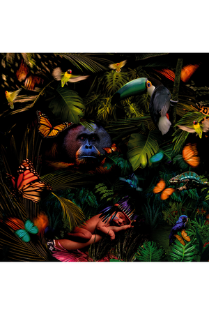 Sleeping Infant in Wildlife Artwork | Andrew Martin Sleeping Beauty