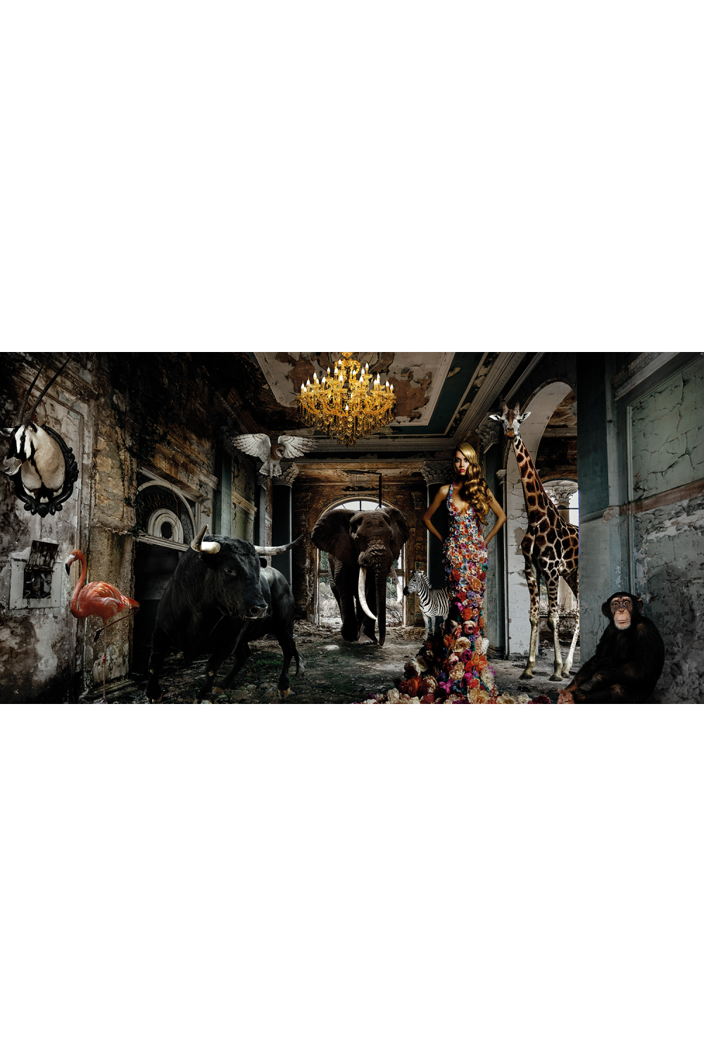 Woman with Animals Photographic Artwork | Andrew Martin | OROA