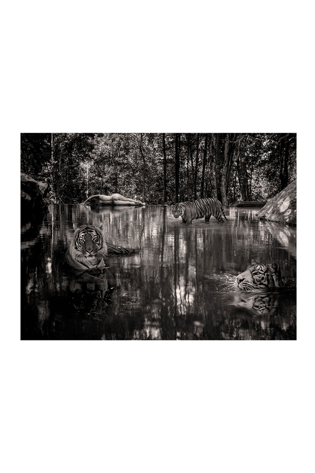 Woman With Tigers Grayscale Artwork | Andrew Martin Lost In Paradise  | Oroa.com