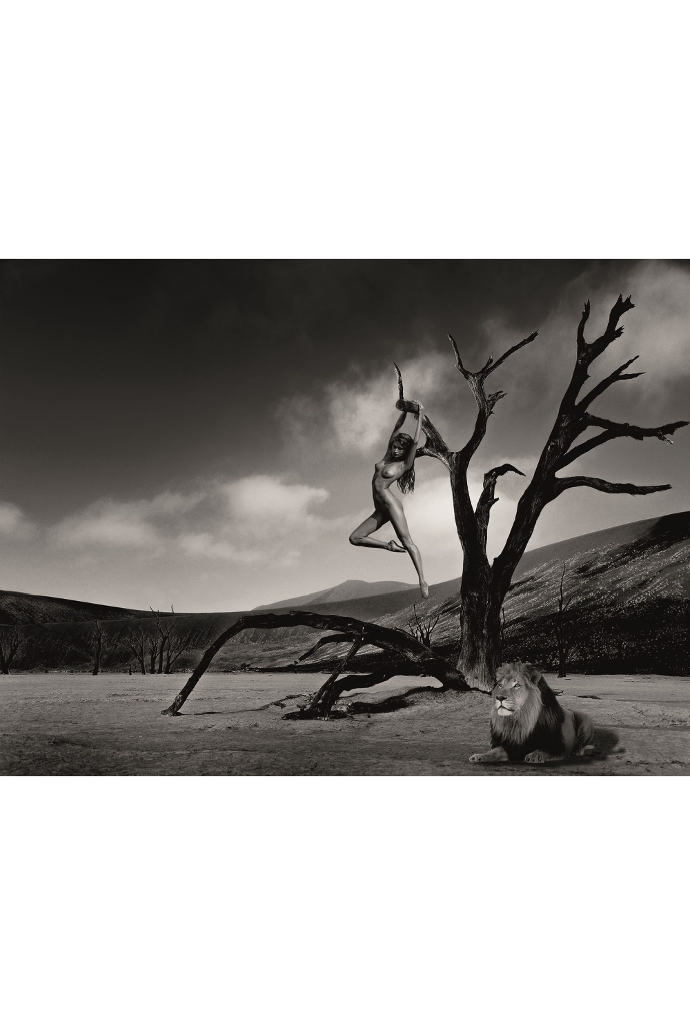 Monochrome Photographic Artwork | Andrew Martin Lion Gymnast | Oroa.com.