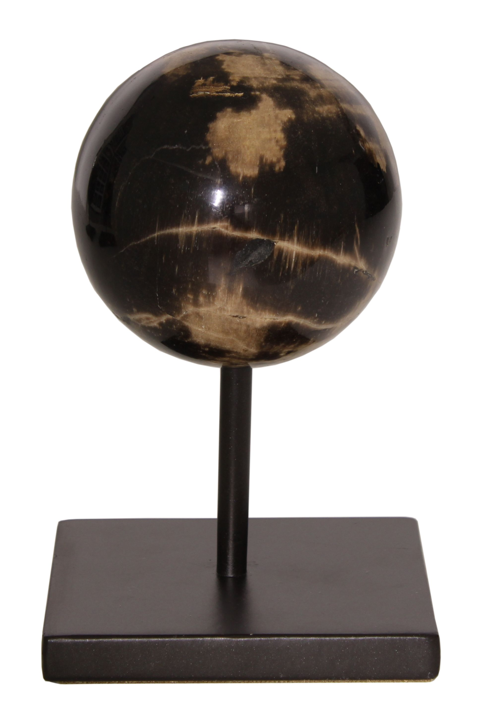 Petrified Wood Sphere On Stand | Andrew Martin | Oroa.com