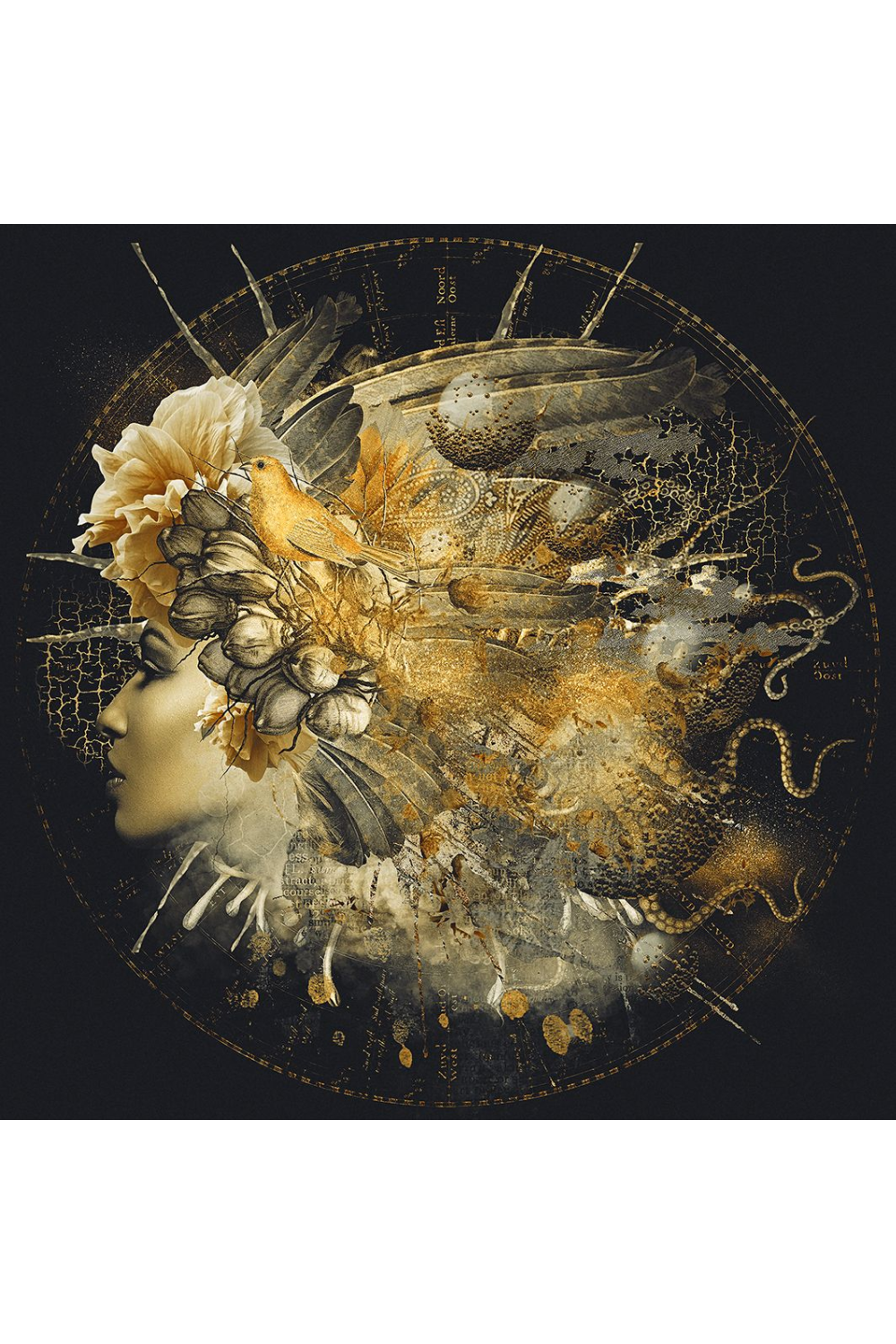 Mythical Woman Photographic Art | Andrew Martin Golden Erato | Oroa.com