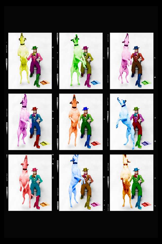 English Musician Photographic Artwork | Andrew Martin Rainbowie - David Bowie | Oroa.com