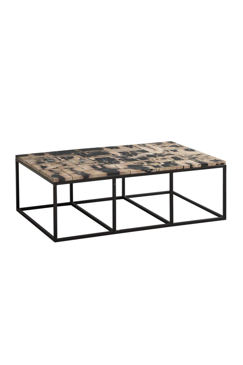 Rectangular Petrified Wood Coffee Table | Andrew Martin | OROA.com